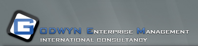 International Consultancy